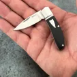 Begg Knives Mini Hunter Slip Joint Blk BG043
