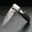 Begg Knives Mini Hunter Slip Joint Blk BG043