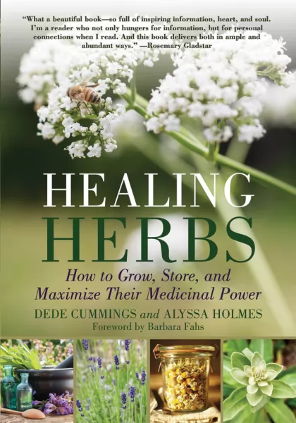 Books Healing Herbs BK404