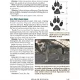 Books The Ultimate Guide to Hiking BK465