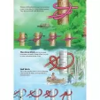 Books My First Book of Knots BK466