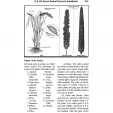 Books U.S. Air Force Pocket Handbook BK467