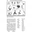Books U.S. Air Force Pocket Handbook BK467