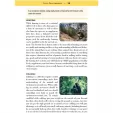 Books Green Beret Bushcrafting Guide BK468