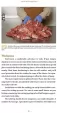 Books Ultimate Guide to Butchering BK473