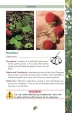 Books Pocket Guide to Edible Plants BK480