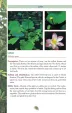 Books Pocket Guide to Edible Plants BK480