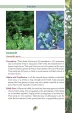 Books Pocket Guide to Edible Plants BK480
