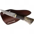 BenJahmin Knives Fixed Blade Stag-Wood BKA022