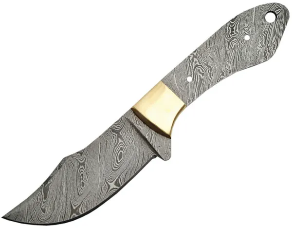 Damascus Damascus Clip Point knives BLDM2728BS
