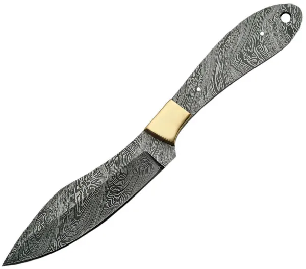 Damascus Damascus Fixed Blade knives BLDM2730BS