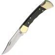 Buck Hunter Lockback knives BU110FG