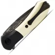 Buck Paradigm Linerlock LE knives BU590IVSLE