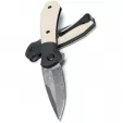 Buck Paradigm Linerlock LE knives BU590IVSLE