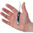 Case Cutlery Sm Congress Blue Bone CA02845