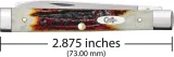 Case Cutlery Baby Doc Red Stag CA09573