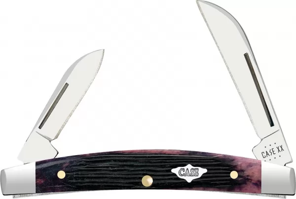 Case Small Congress Purple Bone CA09704