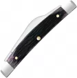 Case Small Congress Purple Bone CA09704