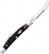 Case Small Congress Purple Bone CA09704