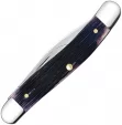 Case Medium Pen Purple Bone CA09714