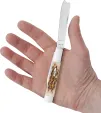 Case Cutlery Razor Amber Bone CA10722