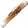 Case Swell Center Jack Amber Bone CA10729