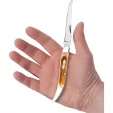 Case Medium Toothpick Amber Bone CA10732