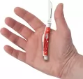Case Small Congress Red Bone CA10747
