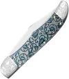 Case Cutlery Folding Hunter Med Blue CA10757