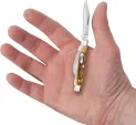 Case Cutlery Small Stockman Burnt Stag CA10759
