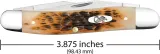 Case Cutlery Muskrat Amber Bone CA10798