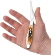 Case Cutlery Muskrat Amber Bone CA10798