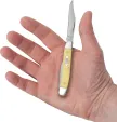 Case Pen Knife Yellow Synthetic Chrome Vanadium CA109