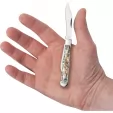 Case Cutlery Swell Center Jack Abalone CA12024