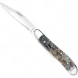Case Cutlery Peanut Abalone CA12025