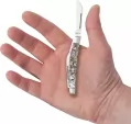 Case Cutlery Small Congress Abalone CA12026