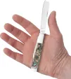 Case Cutlery Razor Abalone CA12027