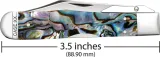 Case Cutlery Cheetah Cub Smooth Abalone CA12040 Case Cutlery Cheetah Cub Smooth Abalone CA12040