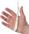 Case Cutlery Slimline Trapper Natural Bone CA13312