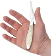 Case Cutlery Muskrat Natural Bone CA13317