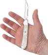 Case Cutlery Copperlock Natural Bone CA13319