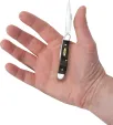 Case Cutlery Peanut Black Curly Oak CA14005