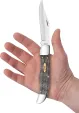 Case Cutlery Folding Hunter Black Curly Oak CA14008