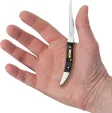 Case Cutlery Small Toothpick Curly Oak CA14009