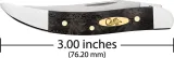 Case Cutlery Small Toothpick Curly Oak CA14009