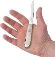 Case Cutlery Mini Trapper Natural Bone CA14091