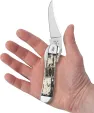 Case Cutlery Ford Russlock Bone CA14341