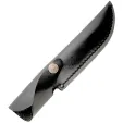 Case Hunter Buffalo Horn CA17910