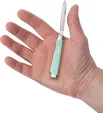 Case Cutlery Baby Doc Seafoam Green CA18108
