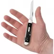 Case Cutlery Mini Trapper Black Synthetic CA18237